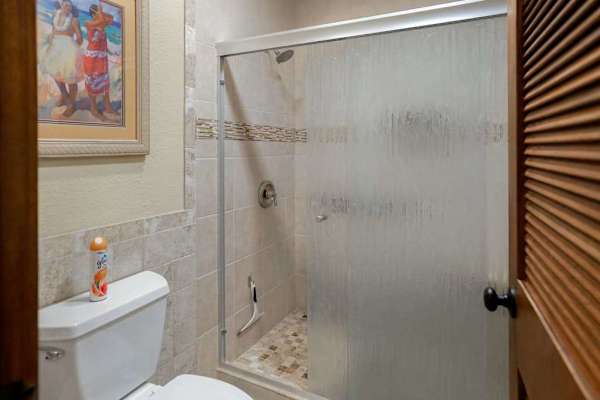 Walk In Shower With Modern Finishes