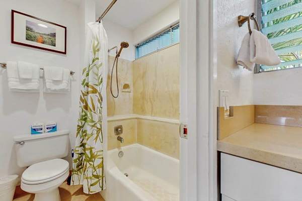 Master bathroom with tub/shower combo.
