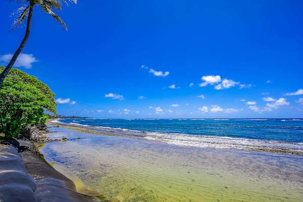 See where paradise meets the Ocean