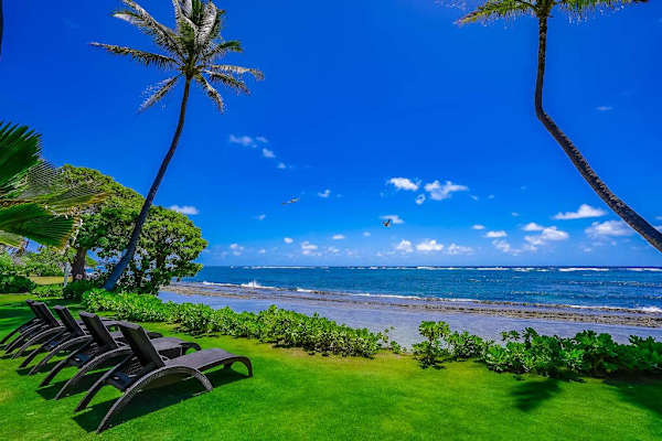Relax in the Peaceful Backyard