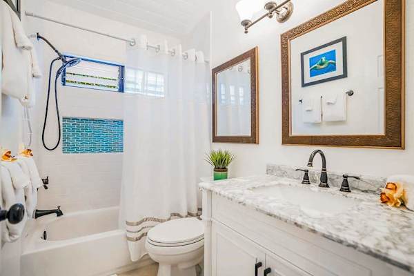 Guest bathroom with shower/tub combo.
