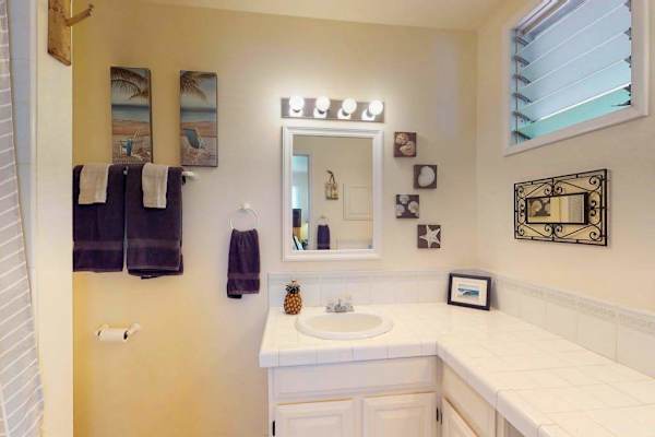 Master en-suite bathroom with walk-in shower.