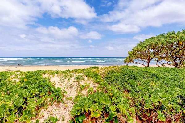 Tropical Beachfront Views Beyond The Resort Gardens