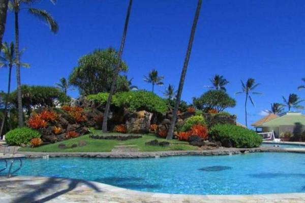 Inviting Pool Surrounded By Tropical Gardens