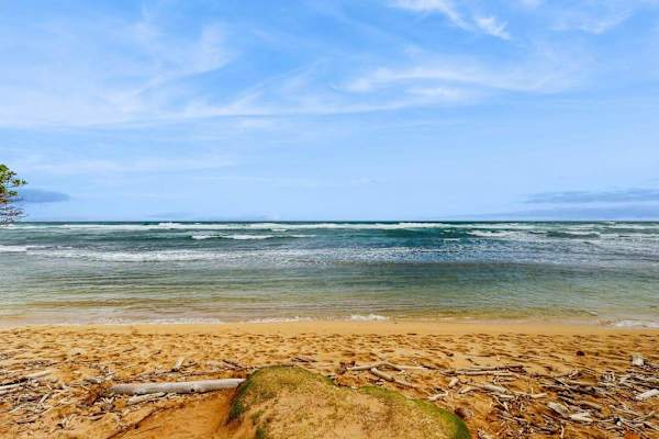 Golden Beachfront Escape Under Blue Skies