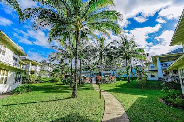 Take a Leisurely Walk Through Paradise