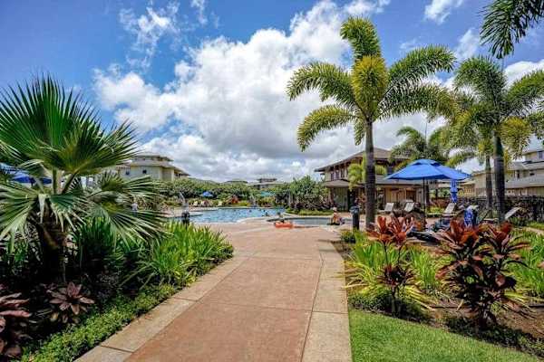 Lush Tropical Pathway To Paradise