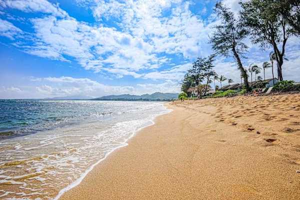 🌊 Breathtaking Ocean Views