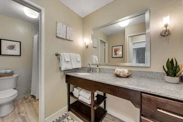 Bathroom Vanity Area with Large Mirror, Granite Countertop, and Toilet View