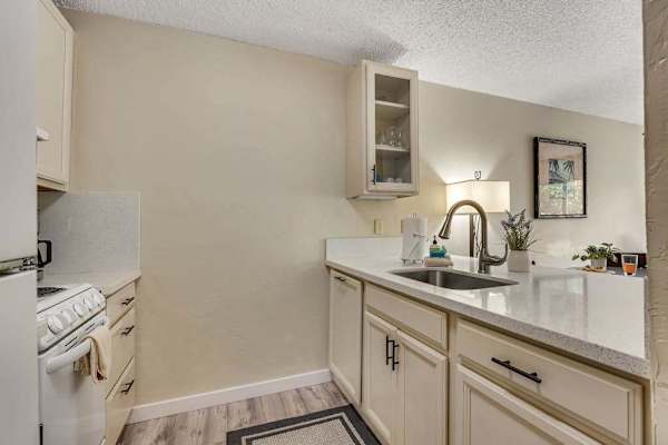 Kitchen Sink and Countertop View Opening to Adjacent Living Area