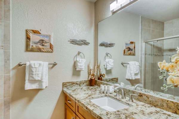Modern Guest Bathroom with Everyday Essentials