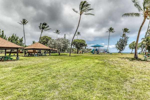 Stroll Through Beautiful Tropical Landscaping