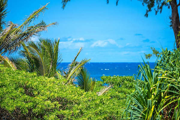 Lush oceanfront lawn framed by tropical gardens