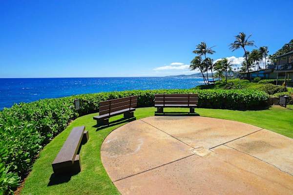Benches to relax and enjoy a vie of the sea