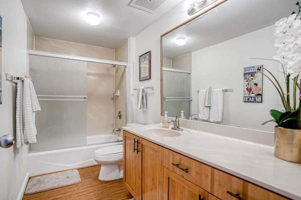 Full bathroom with vanity and walk-in shower