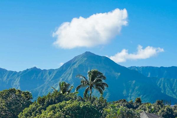 Peaceful views of lush tropical foliage and the surrounding mountains. 