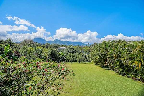 Lush tropical views