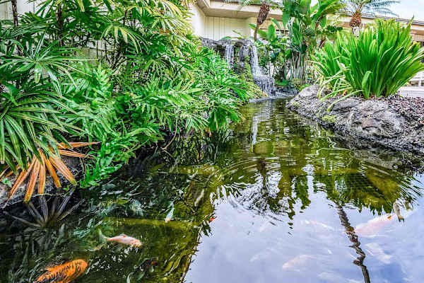 Tropical Garden Water Feature With Serene Views