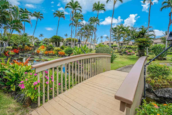 Peaceful Garden Boardwalk Stroll