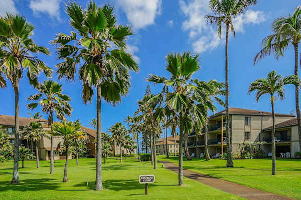 Palm-Lined Paths To The Beach