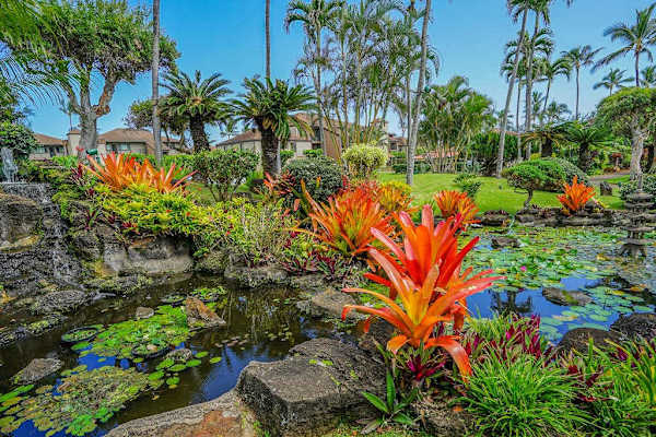 Tropical Botanical Paradise
