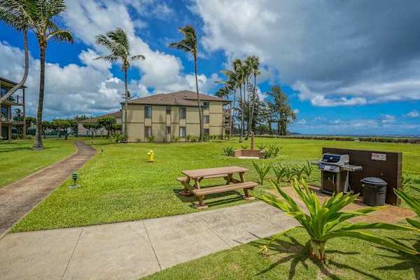 Picnic Lawn With Ocean Breezes