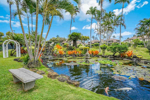 Tranquil Koi Pond Garden