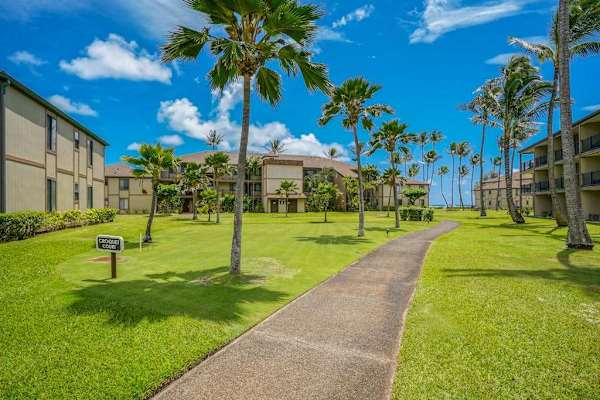 Palm-Lined Pathway To Paradise