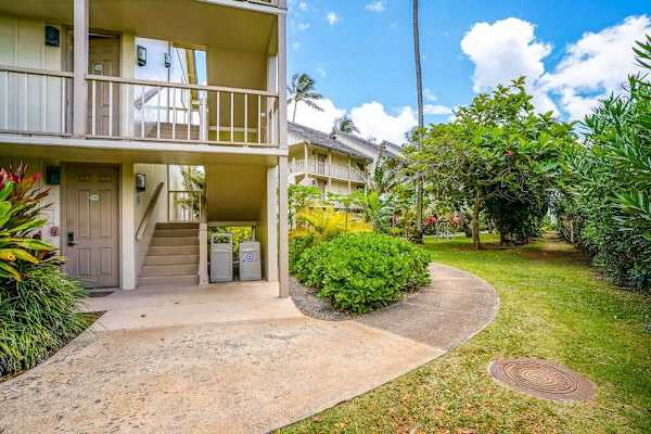 Tropical Pathway To Paradise
