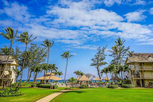 Lush Oceanfront Resort Grounds
