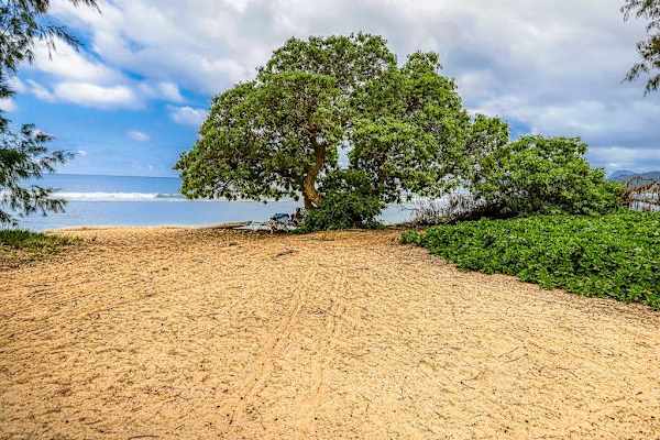 Secluded Beach Waiting To Be Explored
