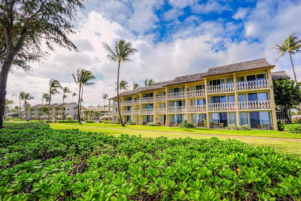 Welcome To Your Tropical Escape
