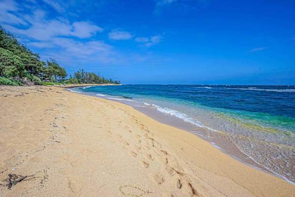 Quiet Beachfront Paradise
