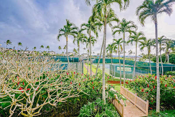 Take in the beauty of the lush tropical surroundings