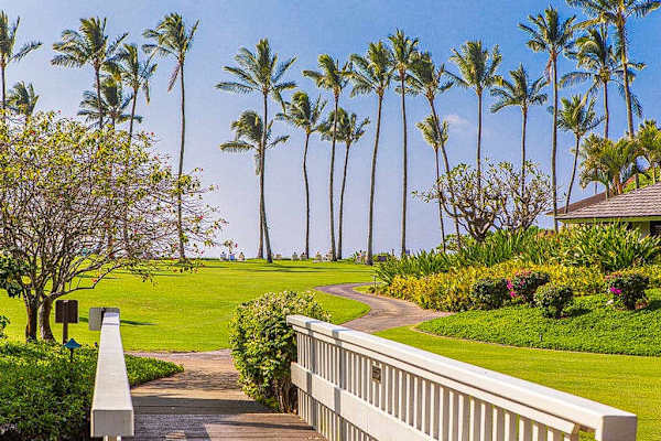 Lush, tropical scenery all around the Kiahuna Plantation Resort.