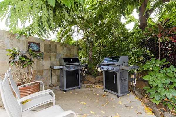 Gas grills for the chef in you.