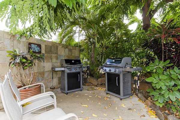 Gas grills for all of your fresh fish you will catch.