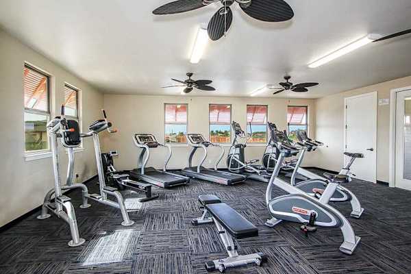 Spacious Gym With Premium Equipment