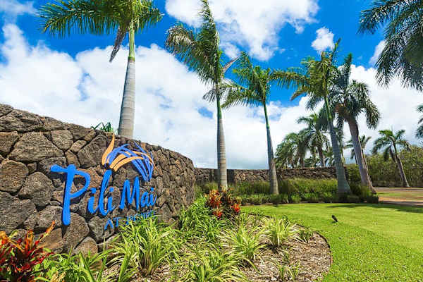 Welcome To Tropical Paradise