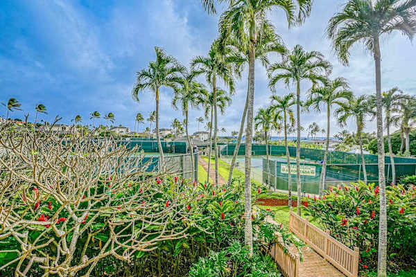 Manualoha 608