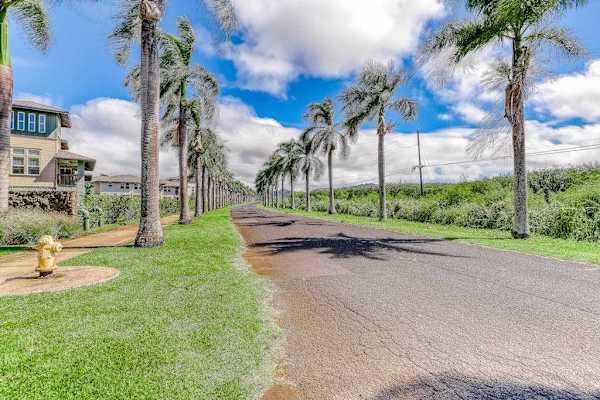 Pili Mai Resort with streets lined with palm trees.