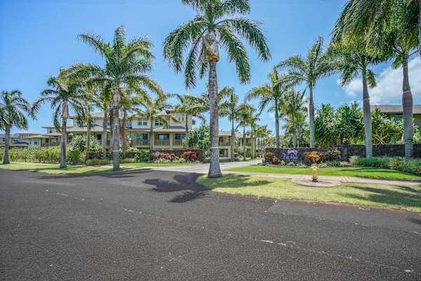 Palm Lined Resort Entrance