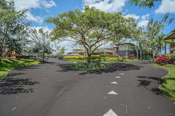 Scenic Resort Arrival Drive