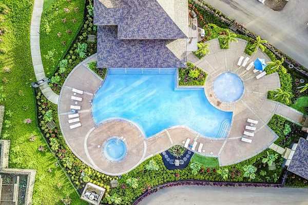 A Bird's-Eye View of Paradise