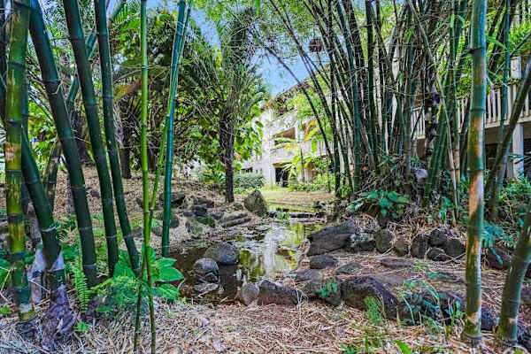  Enjoy peaceful mornings in the fresh island air
