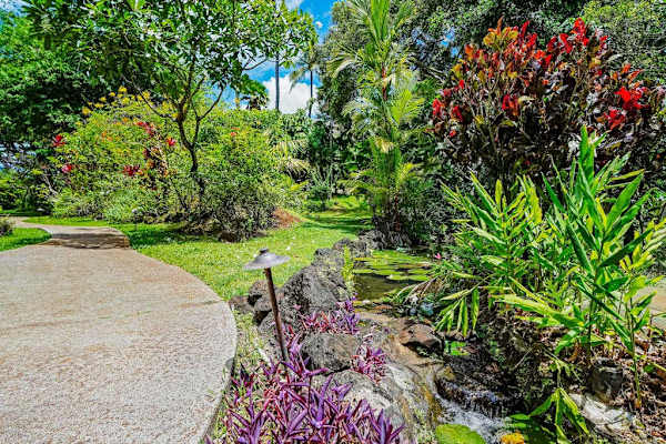 Enjoy peaceful mornings in the fresh island air