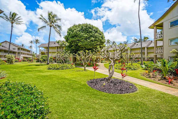 🌺 Lush Tropical Garden