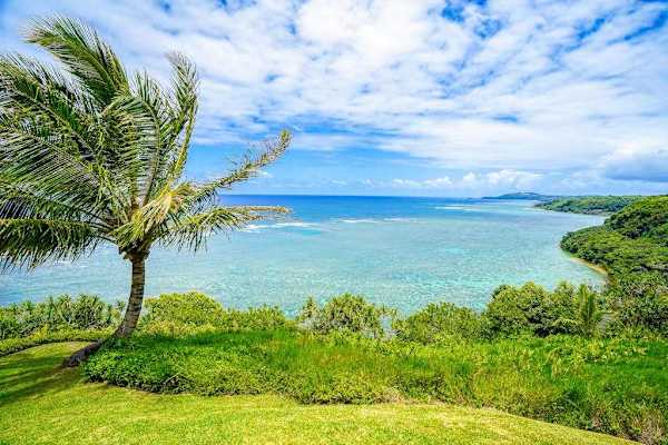 Breathtaking Pacific Ocean & lush coastline view.