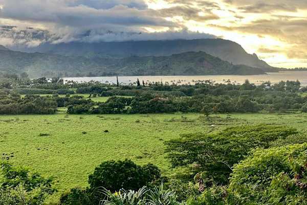 Kauai's famous green mountains - on all four sides, this home is a true showcase of Princeville and the North Shore. 