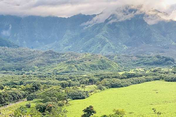 Kauai's famous green mountains - on all four sides, this home is a true showcase of Princeville and the North Shore. 